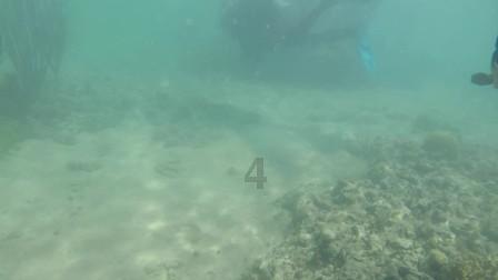 看见艺术许克校长:2024年沈阳音乐学院普通本科招生专业考试考生须知